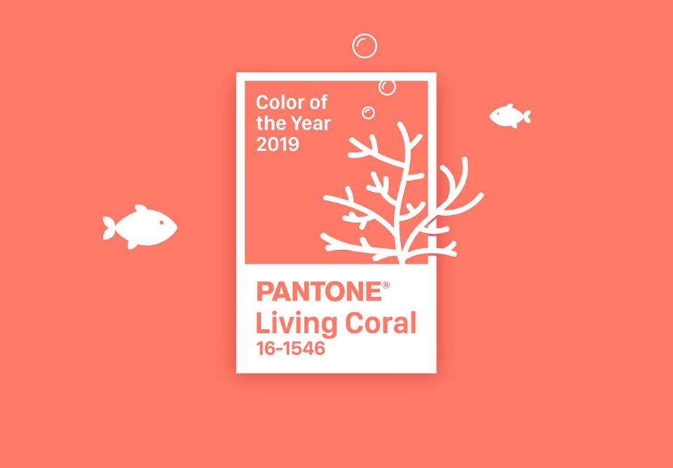 living coral colore pantone 2019 grafica novara